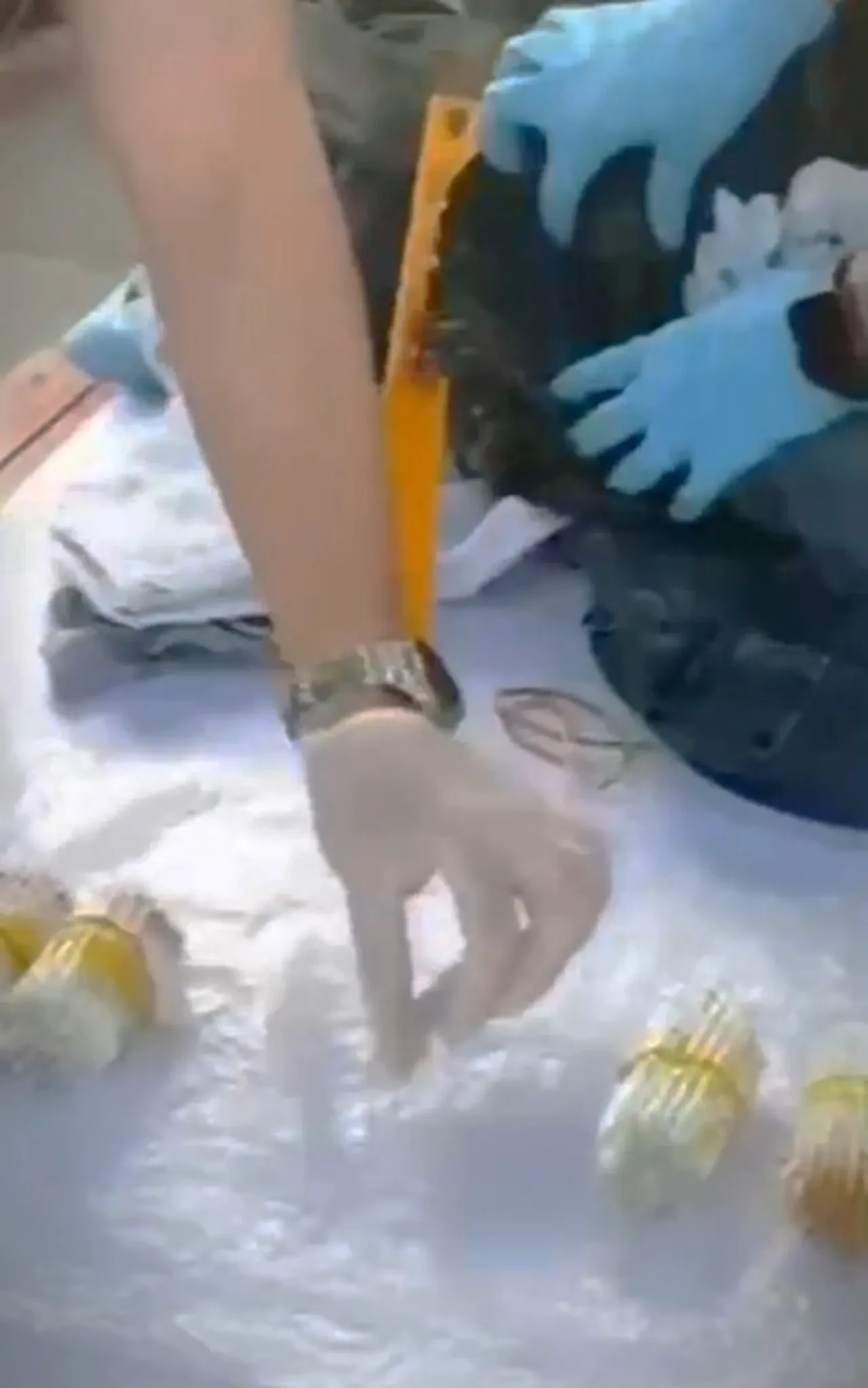 Burdur'da ele geçirildi! Bir damlası bile öldürüyor: Değeri dudak uçuklatıyor