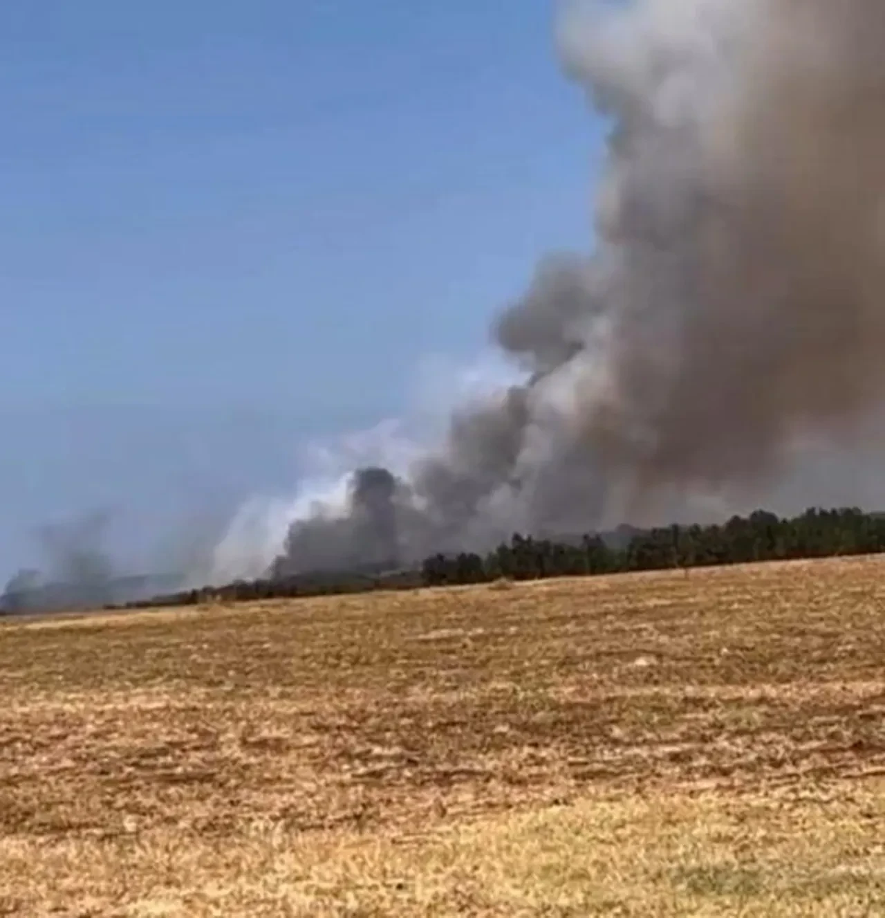 Bursa’da orman yangını! Alevlere çok sayıda ekip müdahale ediyor