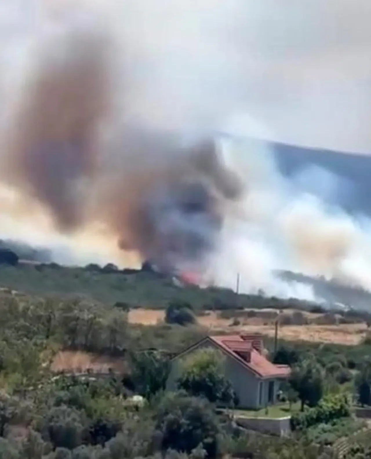 Bursa’da orman yangını! Alevlere çok sayıda ekip müdahale ediyor