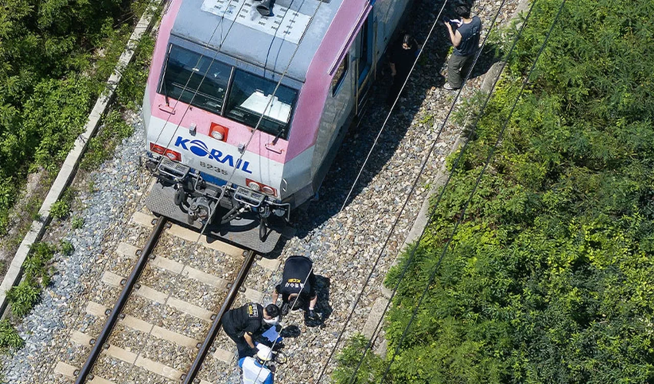 Güney Kore'de yolcu treni, işçilere çarptı! Ölü ve yaralılar var