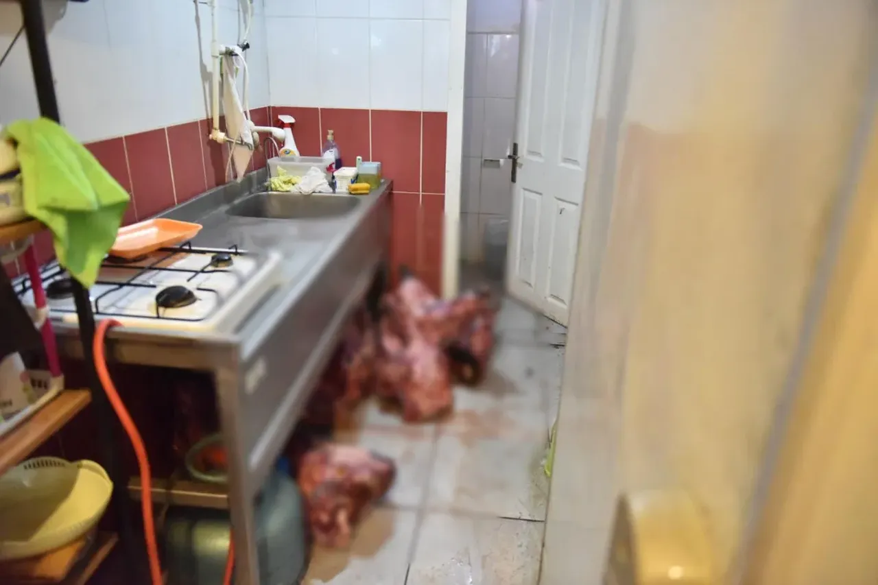 Mide bulandıran görüntüler! Hamam böceği diye gittiler, karşılaşılan manzara dehşet