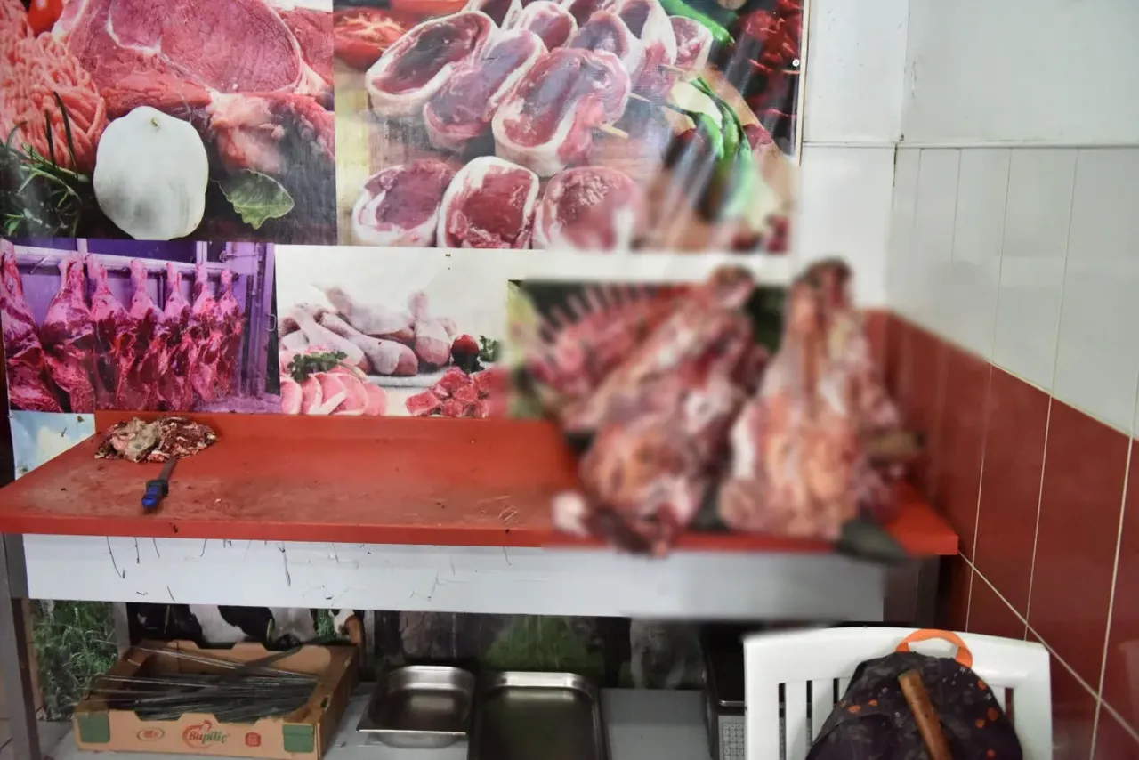 Mide bulandıran görüntüler! Hamam böceği diye gittiler, karşılaşılan manzara dehşet