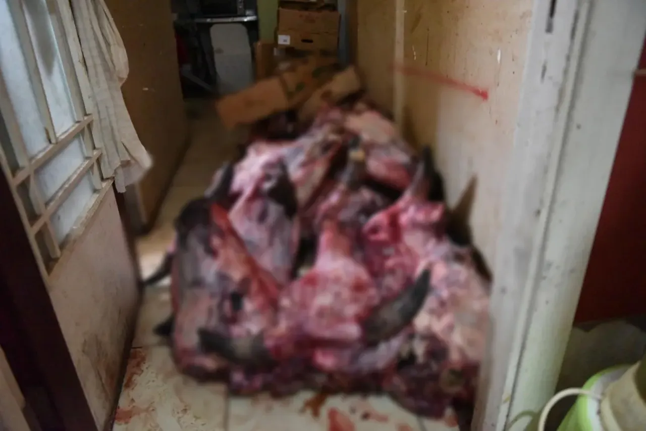 Mide bulandıran görüntüler! Hamam böceği diye gittiler, karşılaşılan manzara dehşet