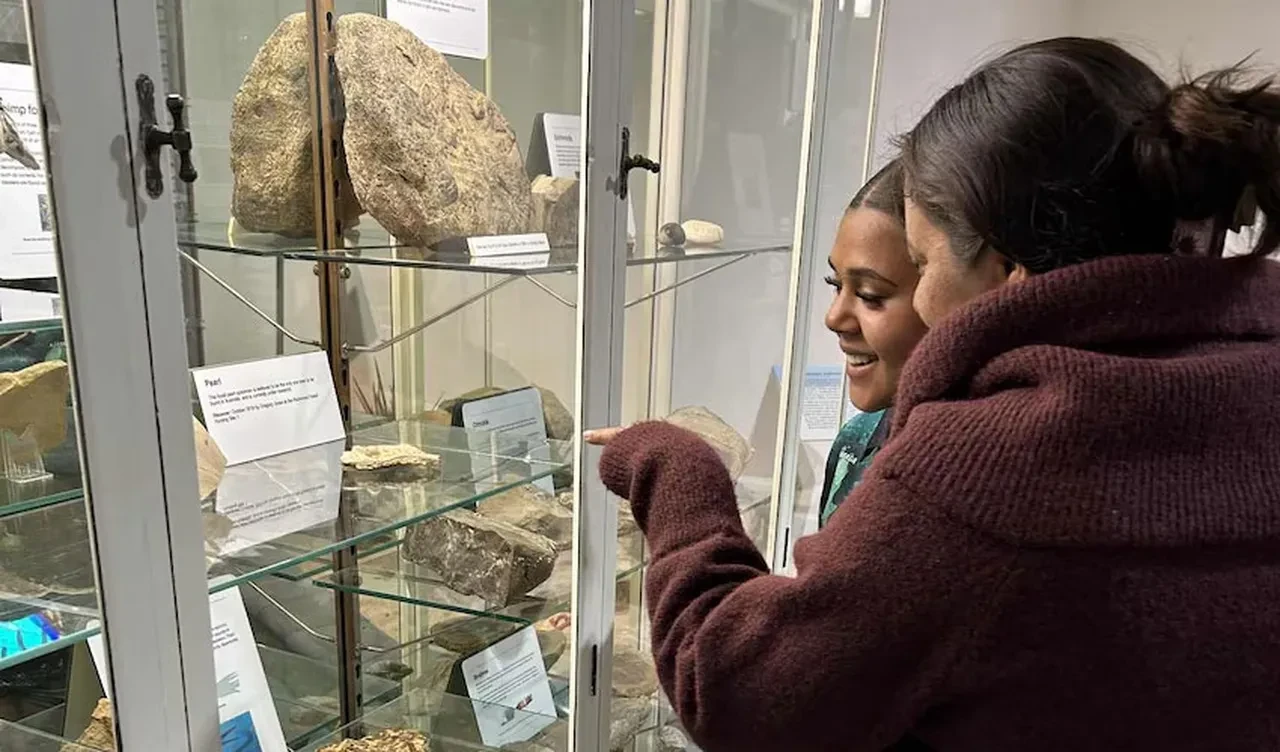 Turist buldu, paleontologlar doğruladı: 100 milyon yıllık fosil inci