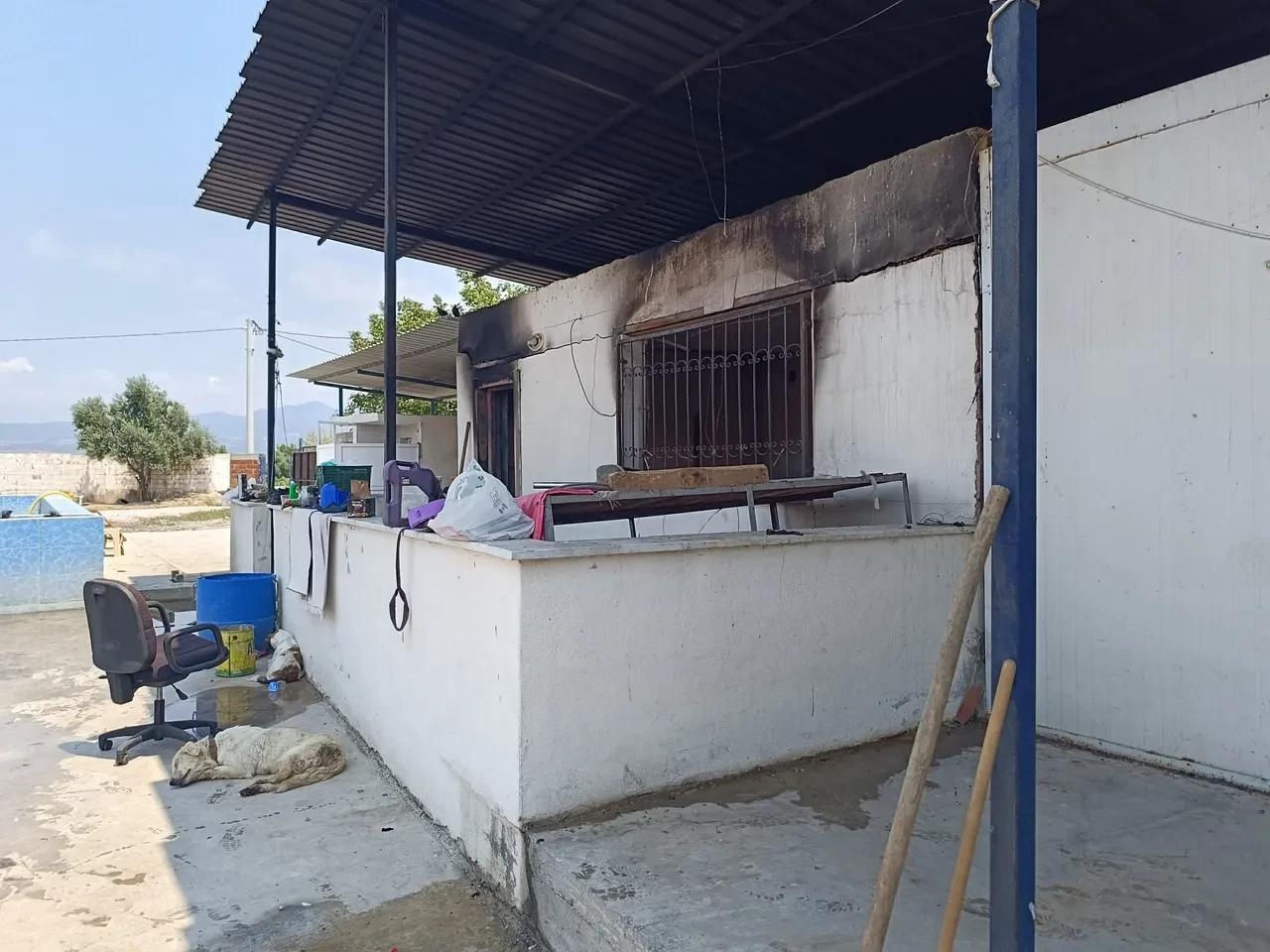 Çiftlik evinde yangın! 1 kişi ölü bulundu, 3 kişi gözaltına alındı