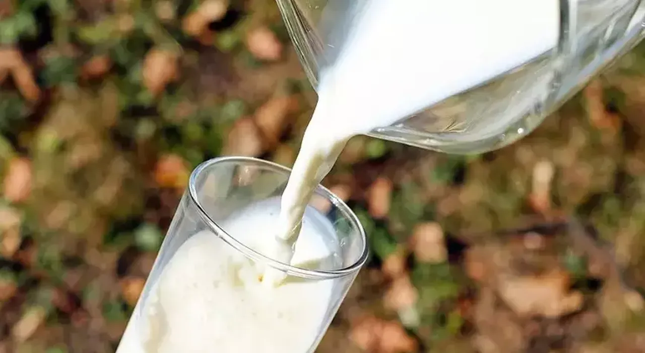 Kentte taklit ürünlere karşı harekete geçildi: 1.5 ton küflenmiş ve bozulmuş süt ele geçirildi