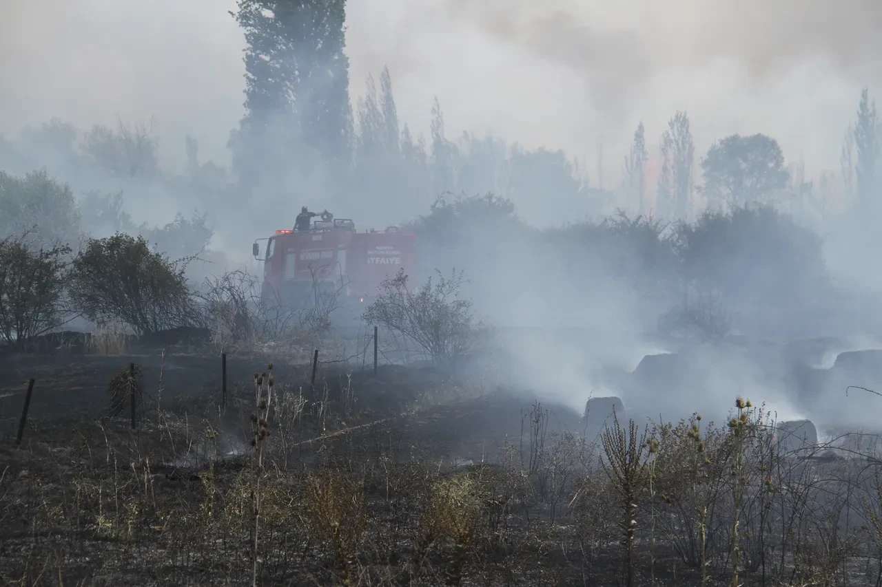 Konya'da yürekleri ağza getiren yangın! Rüzgarın etkisiyle ağaçlık alana sıçradı