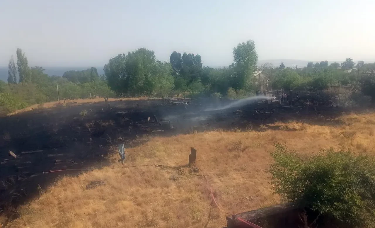 Tarihi Ahlat Mezarlığı'nda korkutan yangın: mezar taşları zarar gördü!