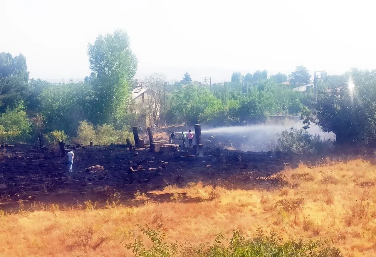 Tarihi Ahlat Mezarlığı'nda korkutan yangın: mezar taşları zarar gördü!