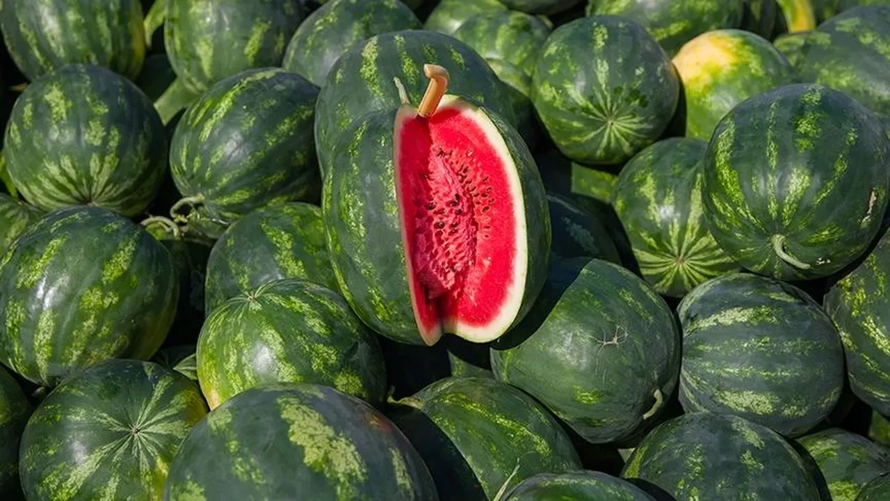 Temmuz ayının zam şampiyonu belli oldu! İşte fiyatı en fazla artan ve düşen ürünler