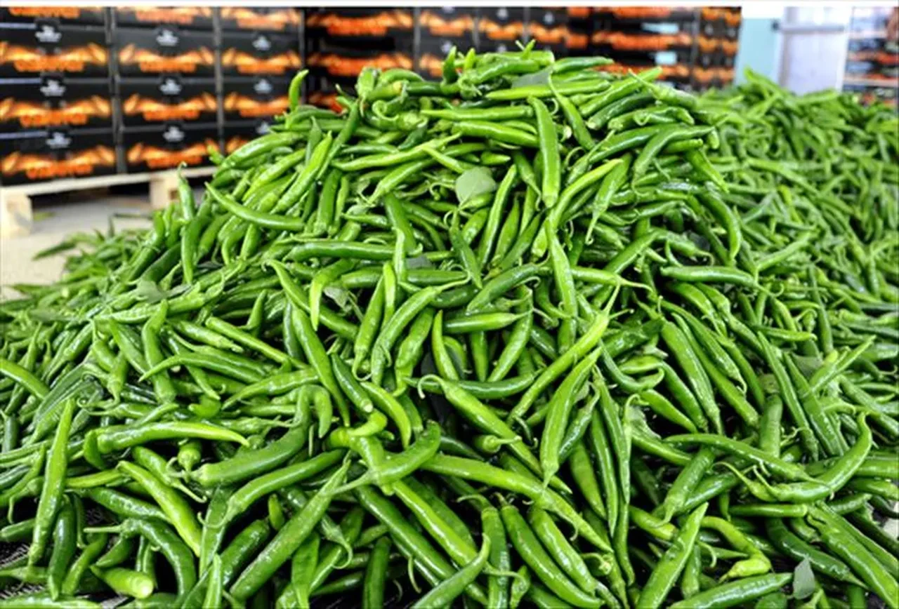 Temmuz ayının zam şampiyonu belli oldu! İşte fiyatı en fazla artan ve düşen ürünler