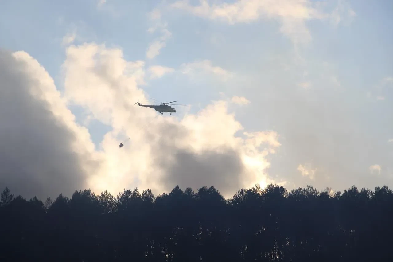 Bolu'da korkutan orman yangını