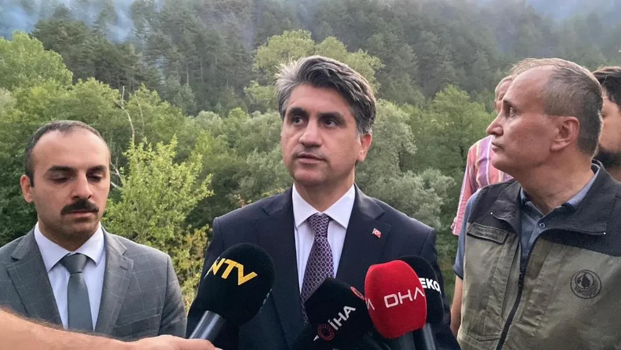 Bolu'da korkutan orman yangını