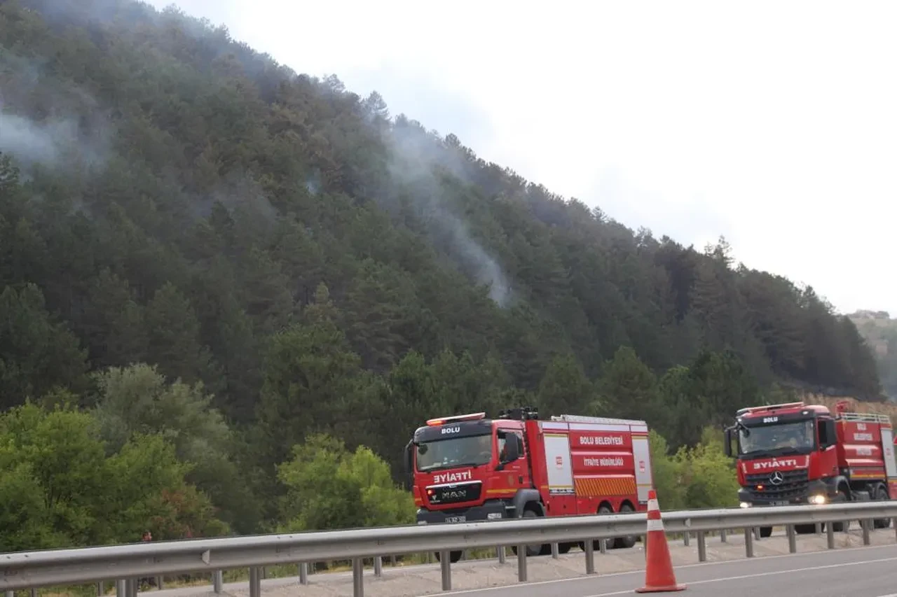 Bolu'da korkutan orman yangını