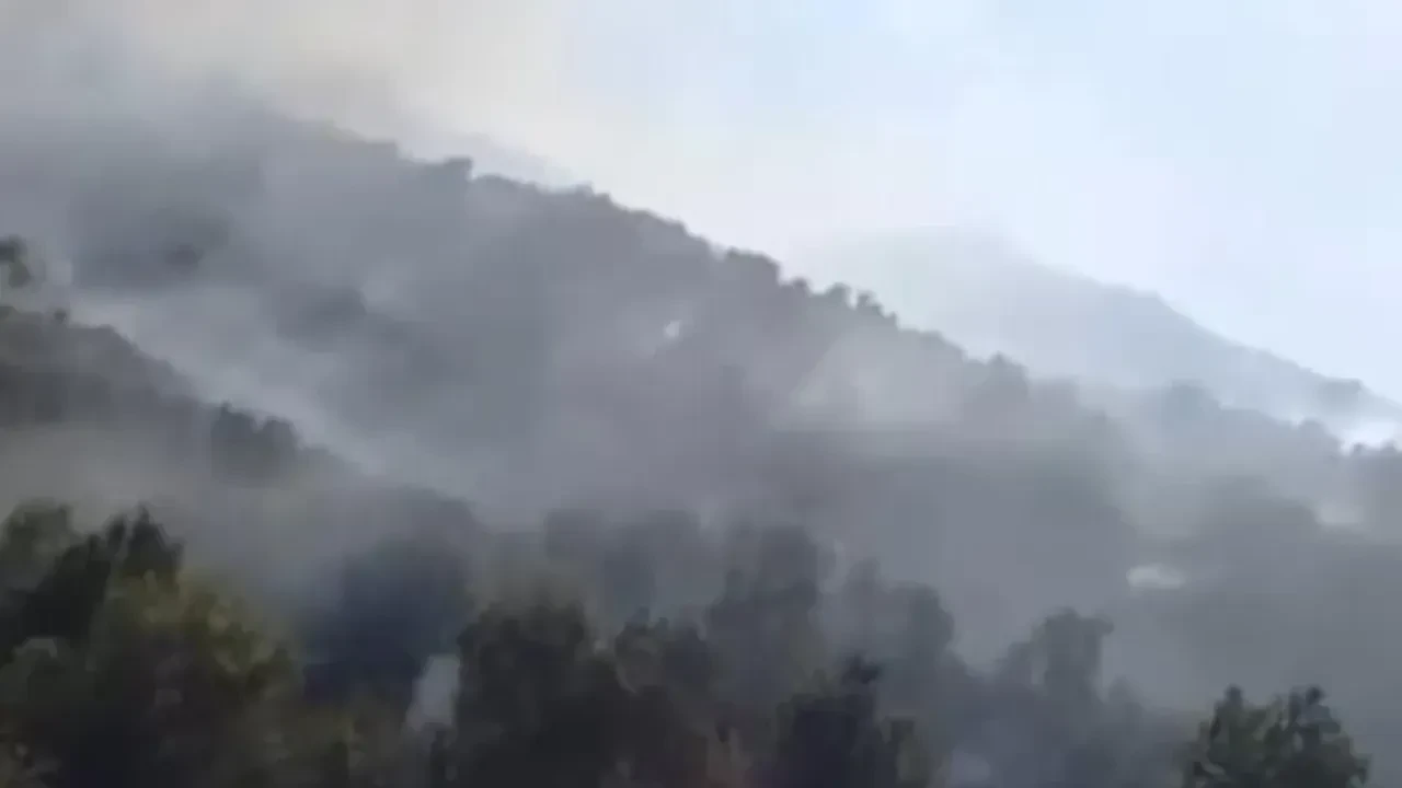 Dağlıca iki gündür alevlere teslim! Yasaklı alanda yangın çıktı
