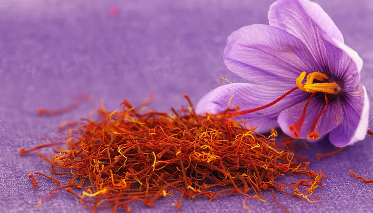 Dünyanın en pahalı 10 yiyeceği! Küçücük bir parçası bile servet değerinde