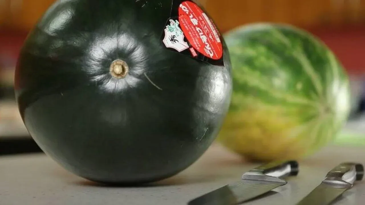 Dünyanın en pahalı 10 yiyeceği! Küçücük bir parçası bile servet değerinde