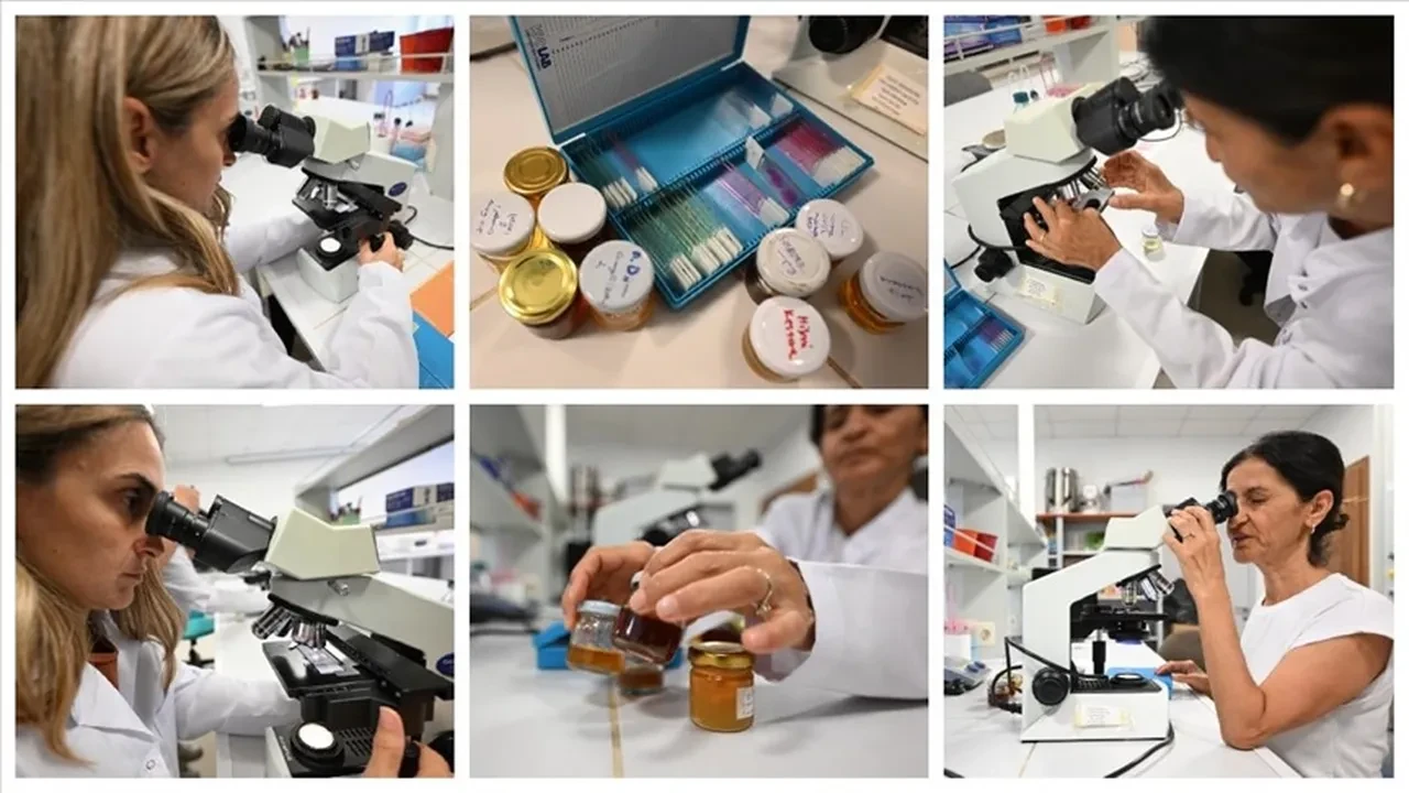 İklim değişikliği kestane balını da vurdu! Uzman isimden 'kulağa küpe yapılması gereken' uyarı