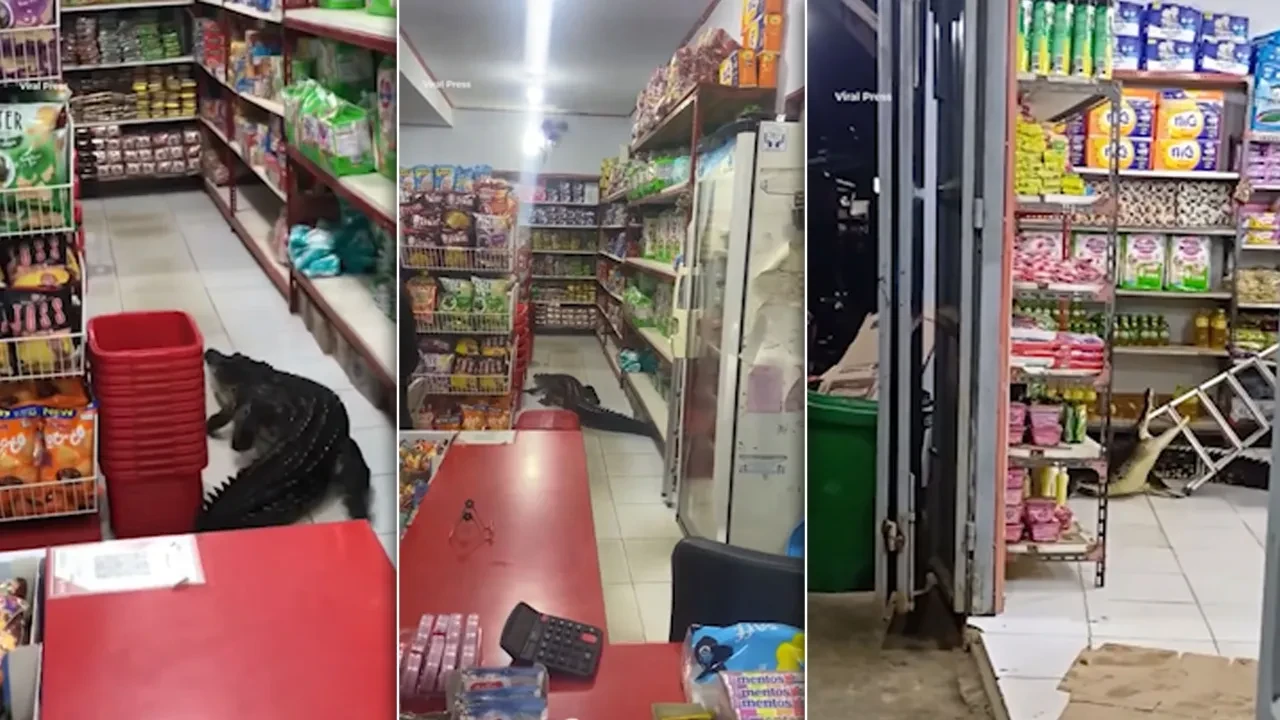 Marketteki timsah! İtfaiye ekibi böyle mücadele verdi