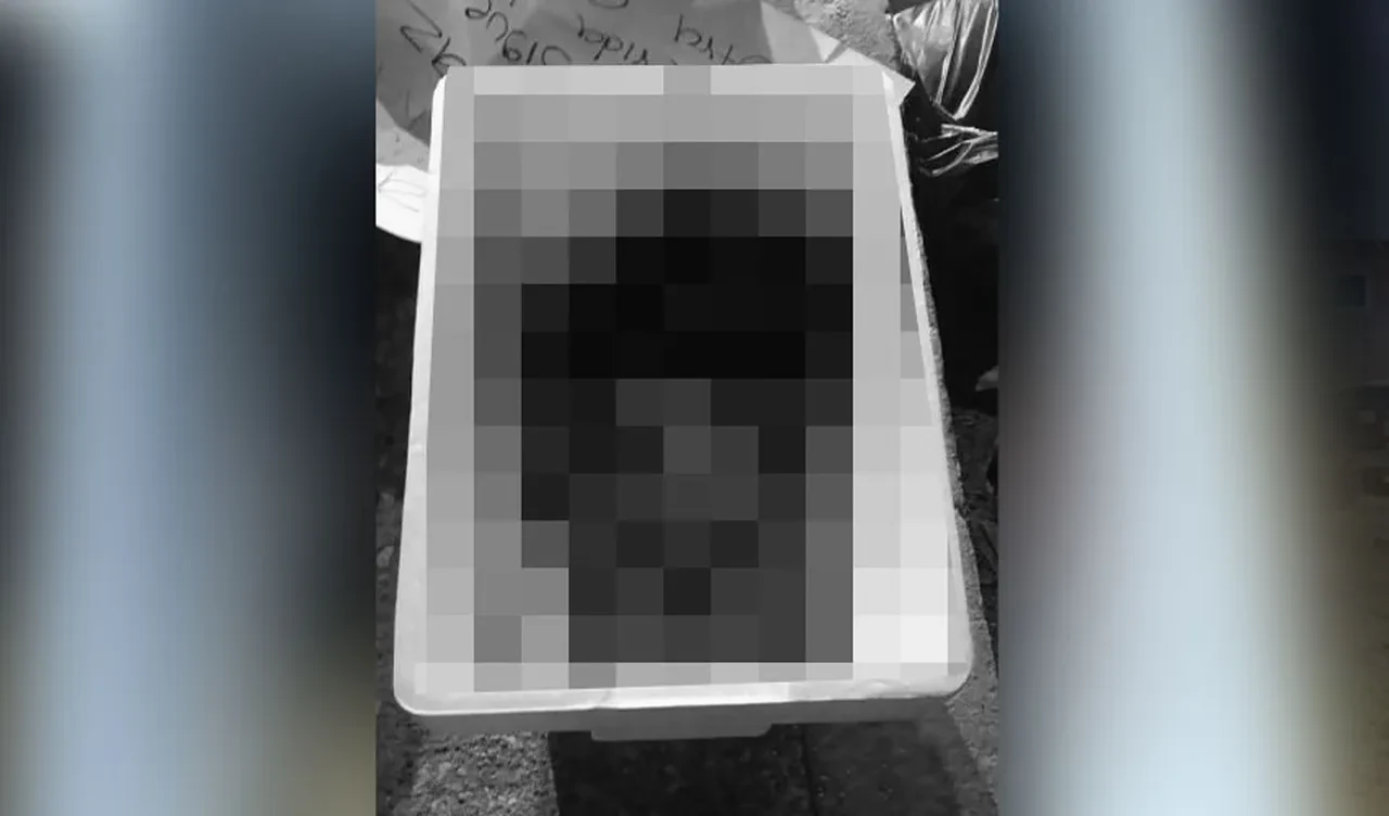 Meksika'da kan donduran olay! Yol kenarında 6 kesik baş bulundu