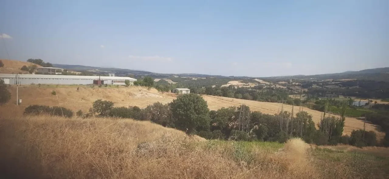 Belediyelerde skandal bitmiyor! Hibe edilen parke taşlarını parayla sattı