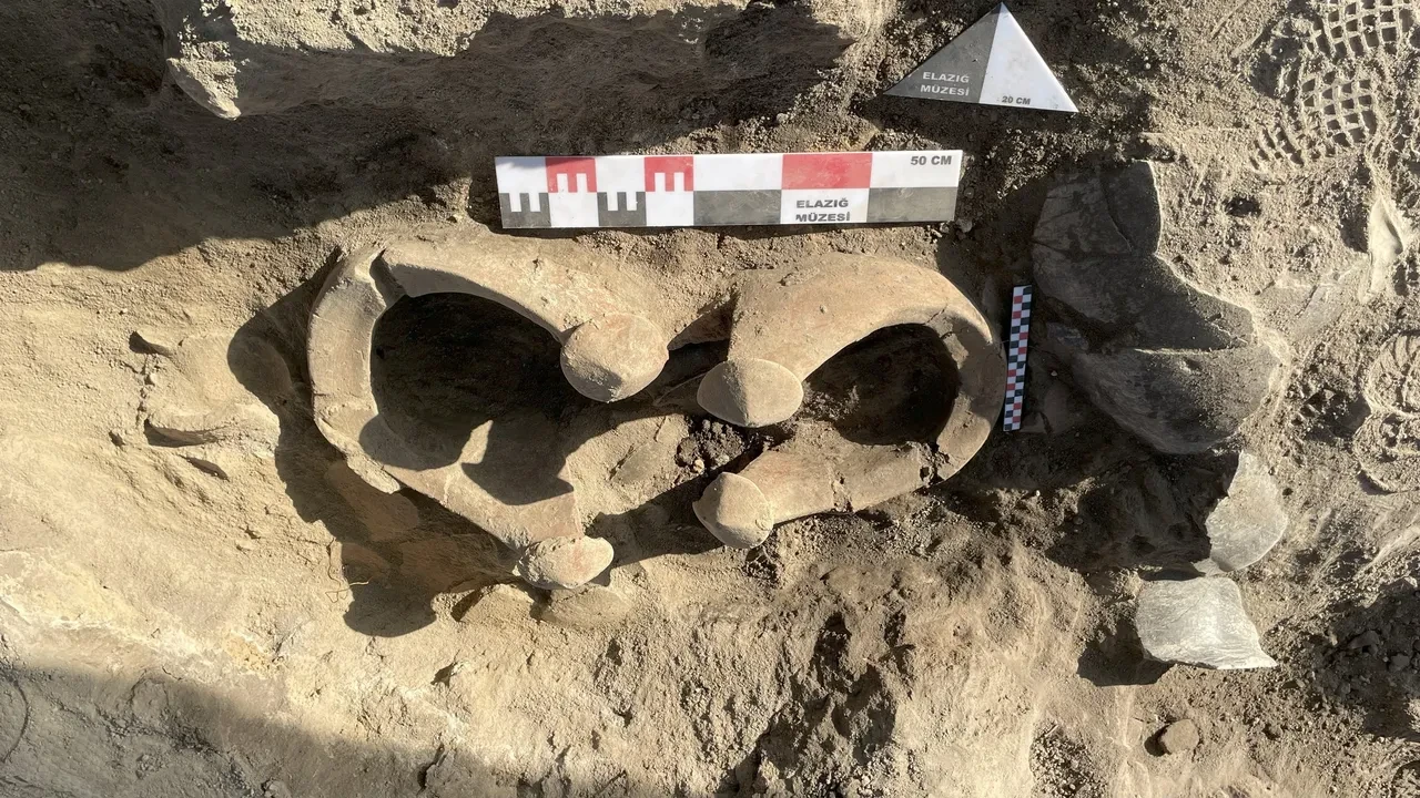 Elazığ'da heyecanlandıran keşif! Tam 6 bin yıllık kalıntılar bulundu