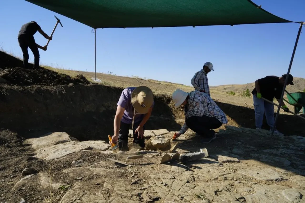 Hepsi gün yüzüne çıktı! 9 kadın mezarı uzmanları şaşırttı