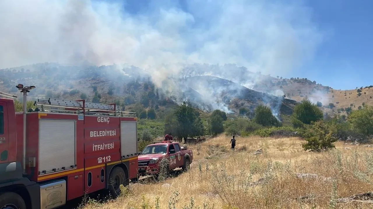 Muğla ve Bingöl'de orman yangını