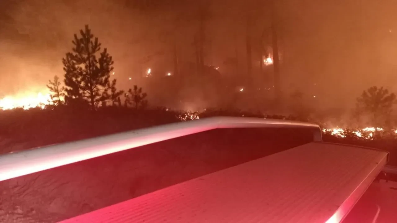 Muğla'da korkutan orman yangını!