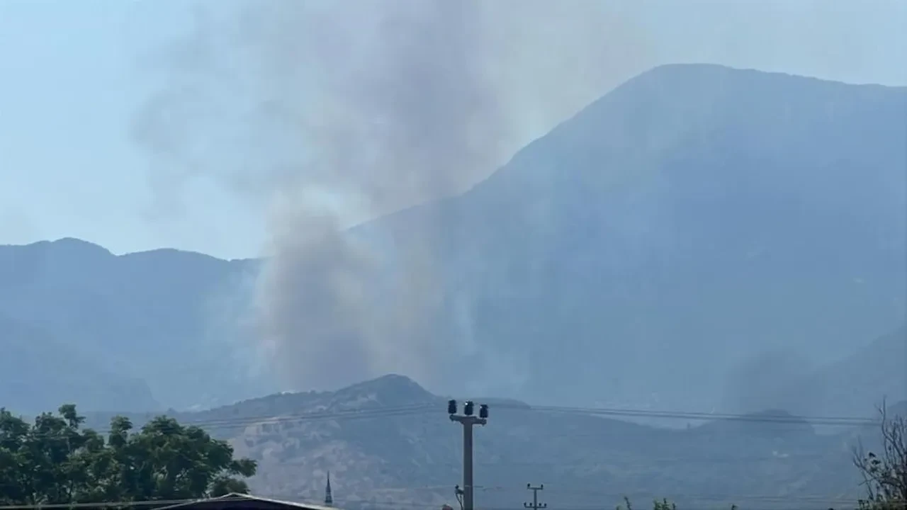 Muğla ve Bingöl'de orman yangını