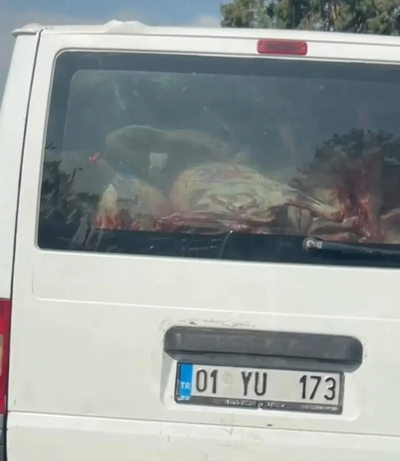 Adana'da skandal görüntü! Hijyen kuralları yine hiçe sayıldı