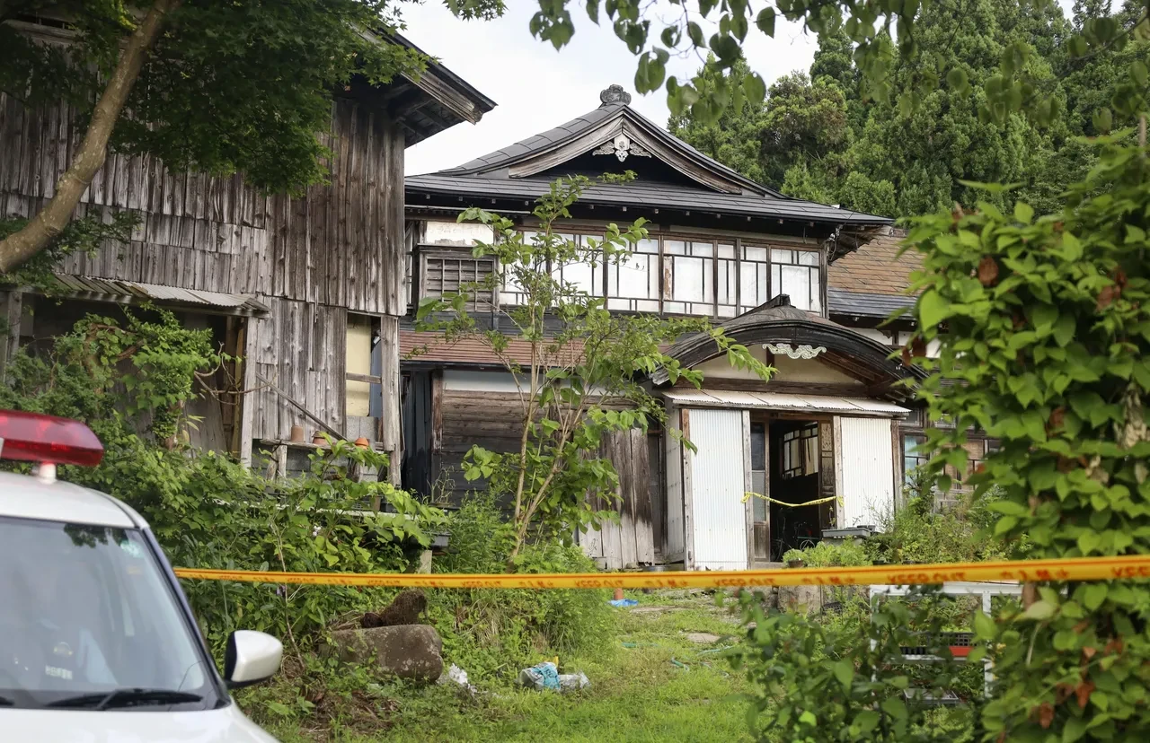 Ayı saldırısı değil cinayet çıktı! En yakını tutuklandı