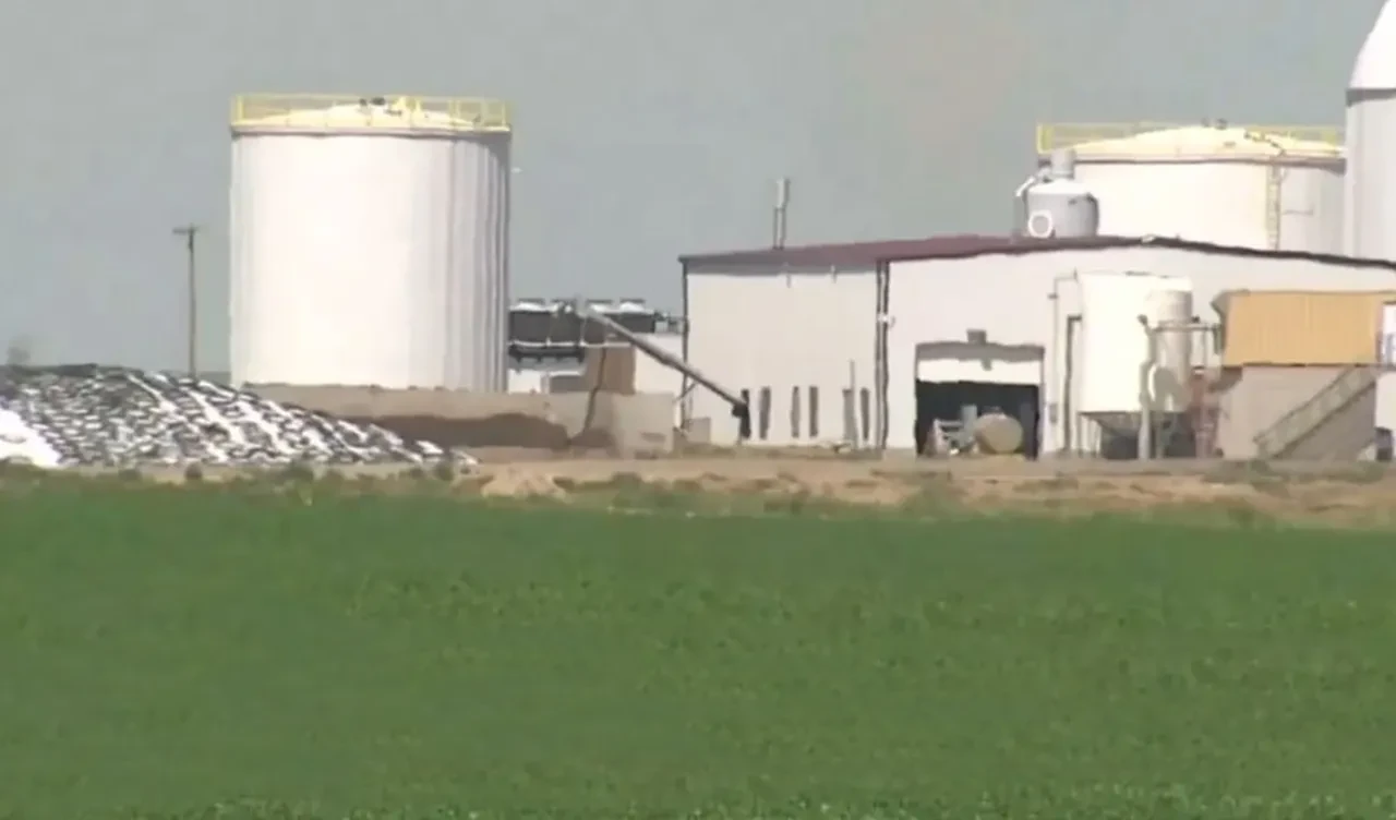 Çiftlikte gizemli ölüm! Çok sayıda kişinin cesedi çıktı