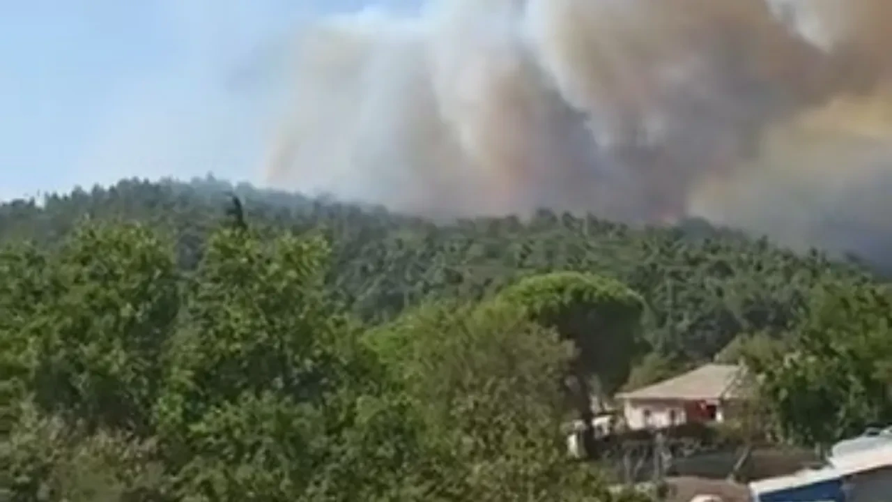 Gelibolu yangın son dakika söndürüldü mü? Çanakkale'de çıkan yangına müdahale ediliyor