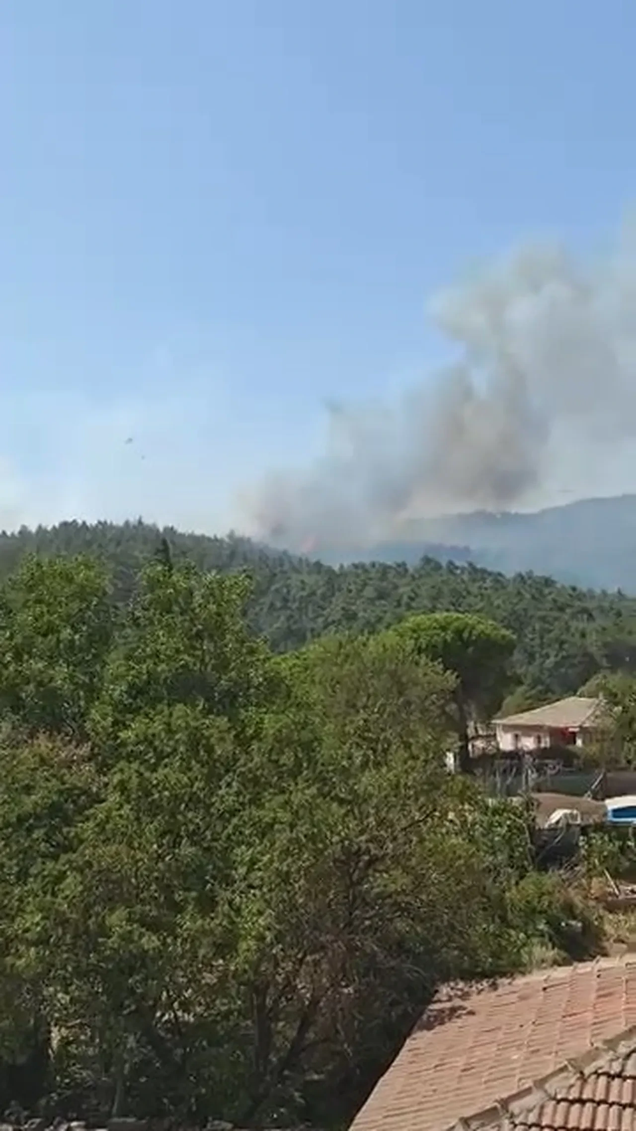Gelibolu yangın son dakika söndürüldü mü? Çanakkale'de çıkan yangına müdahale ediliyor