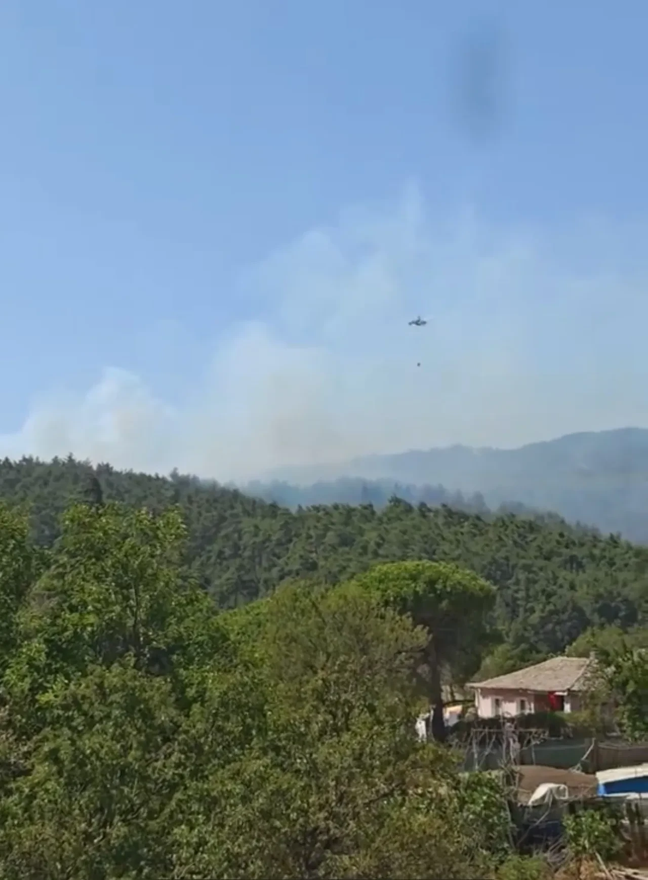 Gelibolu yangın son dakika söndürüldü mü? Çanakkale'de çıkan yangına müdahale ediliyor