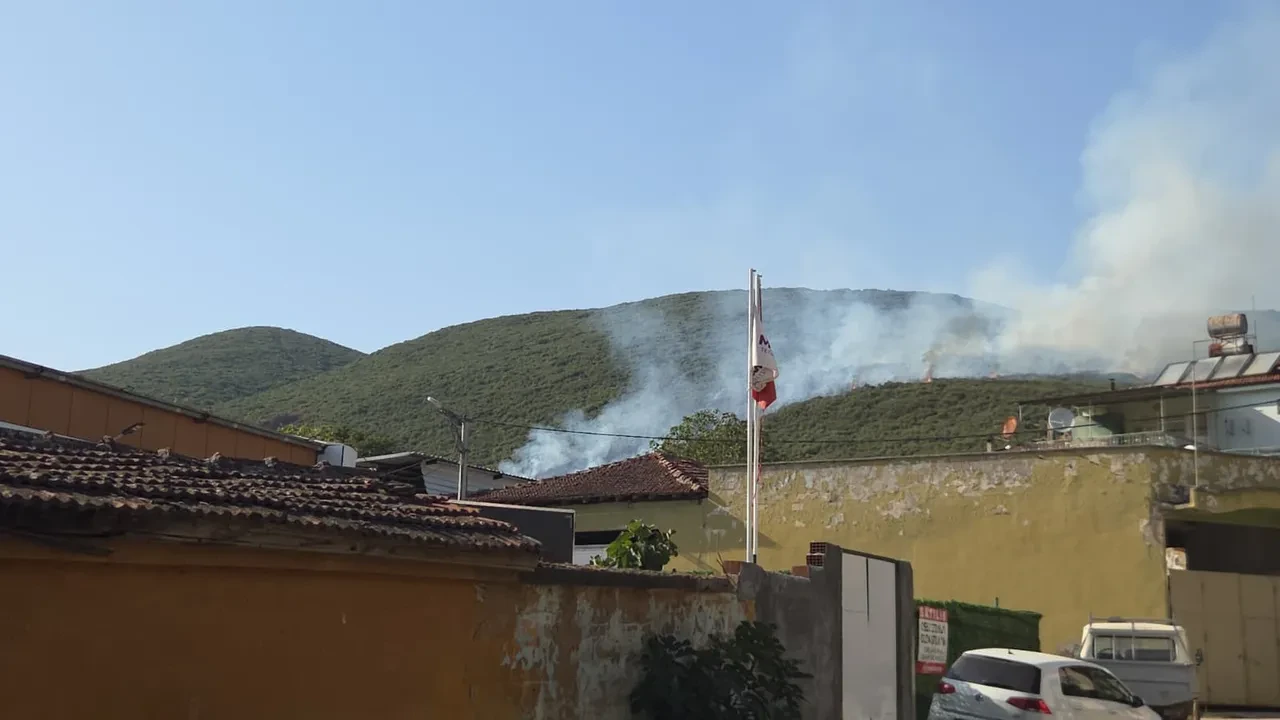 İzmir, Çanakkale, Bursa ve Antalya'da orman yangını! Alevlere havadan ve karadan müdahale sürüyor