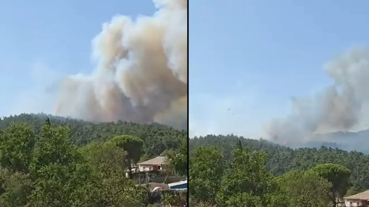 İzmir, Çanakkale, Bursa ve Antalya'da orman yangını! Alevlere havadan ve karadan müdahale sürüyor