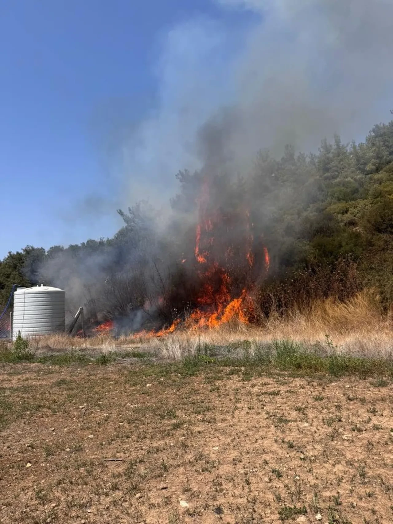 İzmir, Çanakkale, Bursa ve Antalya'da orman yangını! Alevlere havadan ve karadan müdahale sürüyor