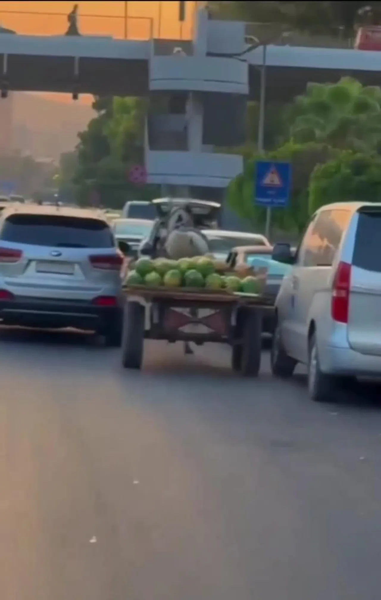Karpuz yüklü at arabası trafiği birbirine kattı