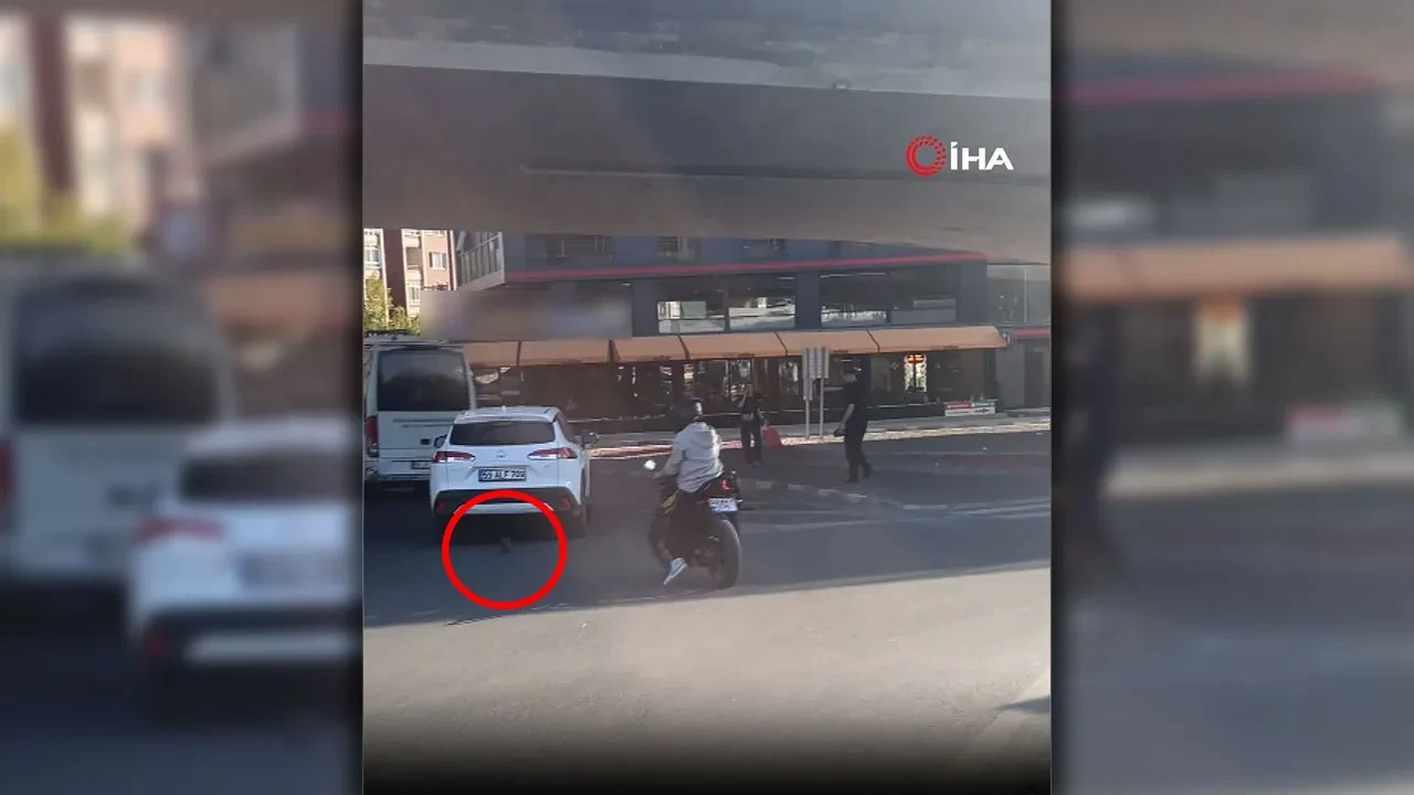 Yavru kedi trafikte sürücülere zor anlar yaşattı! 