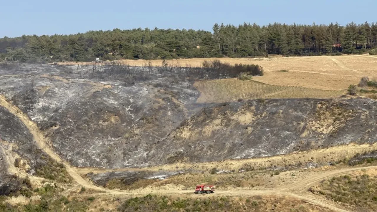Çanakkale orman yangını kontrol altında