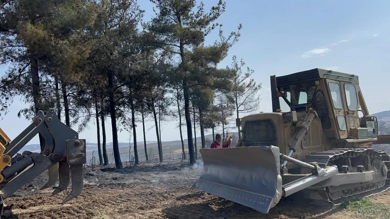 Çanakkale orman yangını kontrol altında