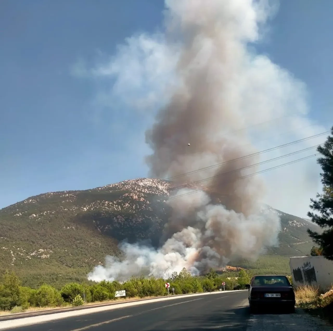 Denizli ve Malatya'da orman yangını! Alevlere havadan ve karadan müdahale sürüyor
