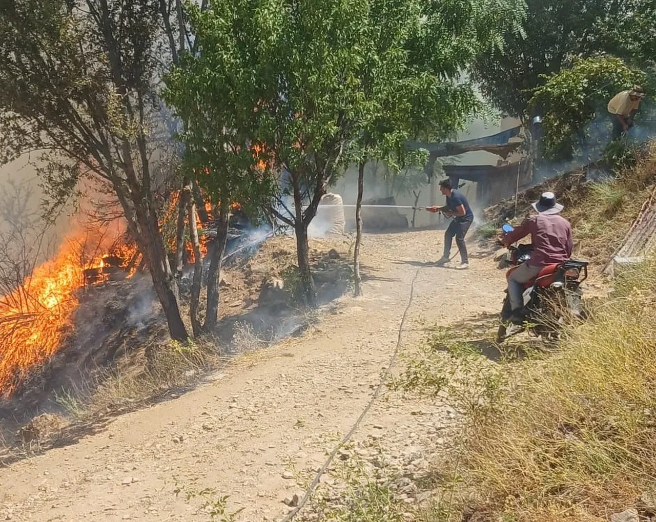 Denizli ve Malatya'da orman yangını! Alevlere havadan ve karadan müdahale sürüyor