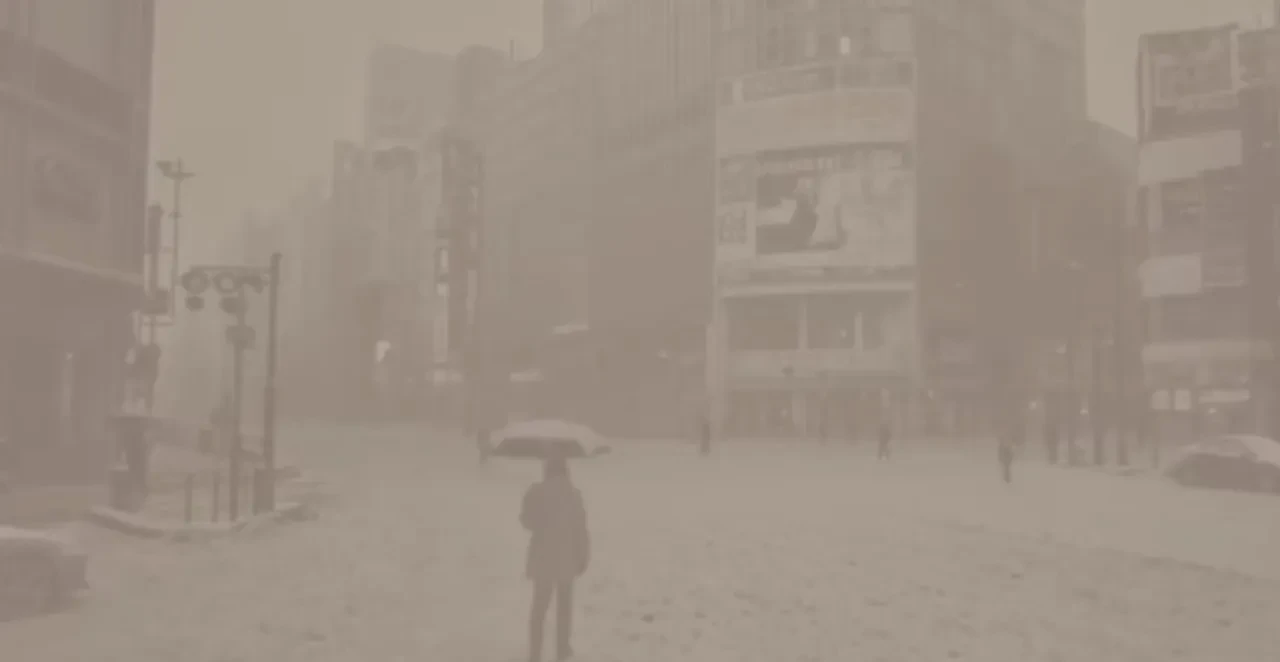 Kan donduran felaket senaryosu! Maske ve gıda stoku çağrısı: Videoyu izleyen dehşete düştü