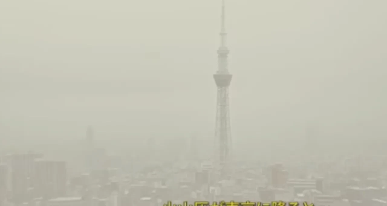 Kan donduran felaket senaryosu! Maske ve gıda stoku çağrısı: Videoyu izleyen dehşete düştü