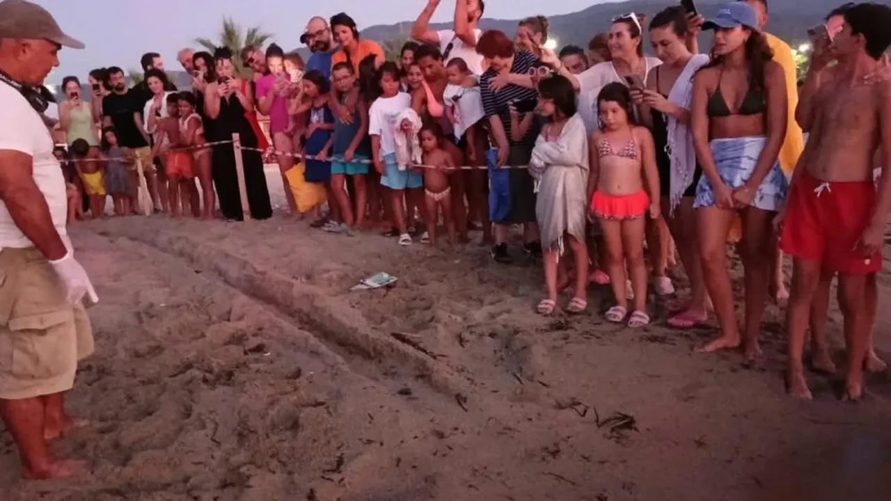 Aydın'da koruma altındaki yuvadan ilk yavrular denize ulaştı