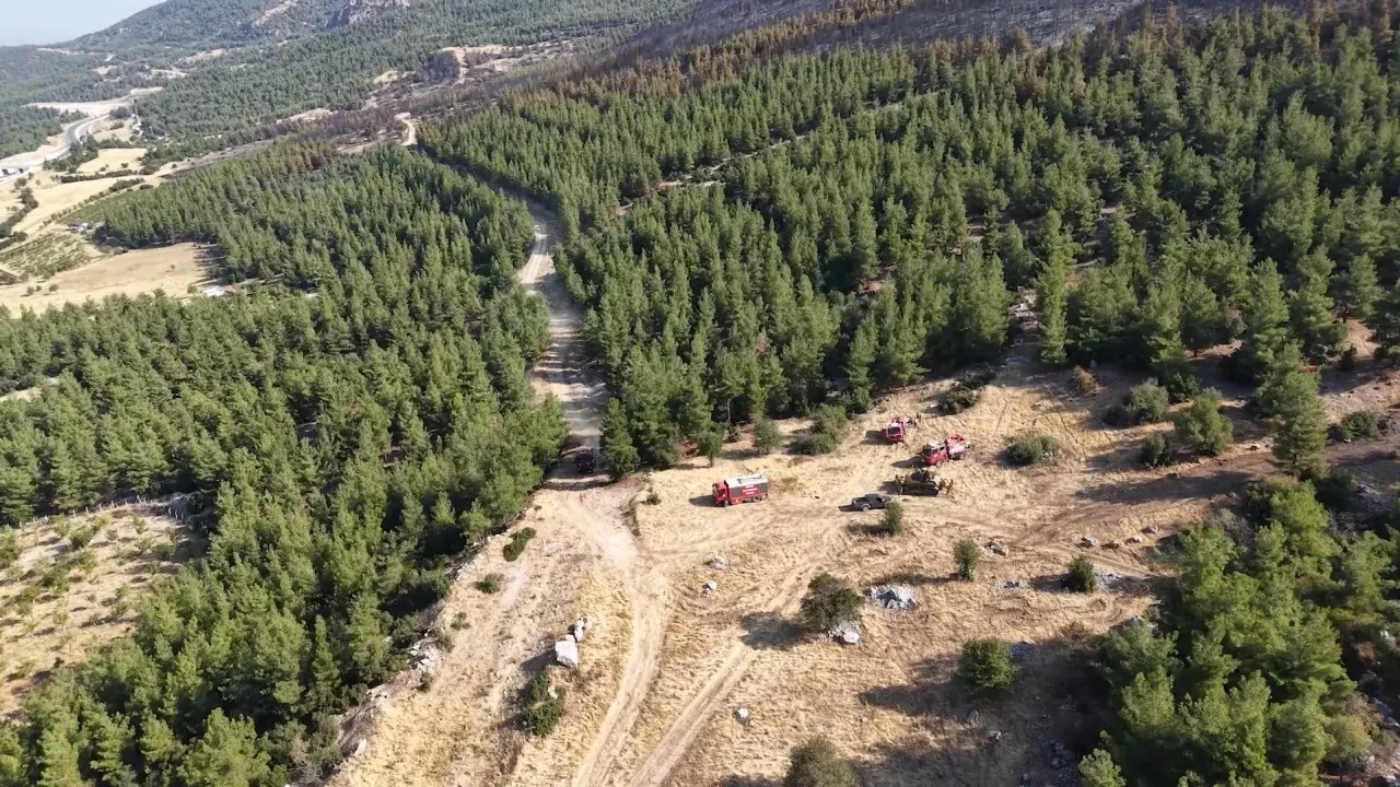 Denizli'de yanan ormandan geriye bu görüntüler kaldı!