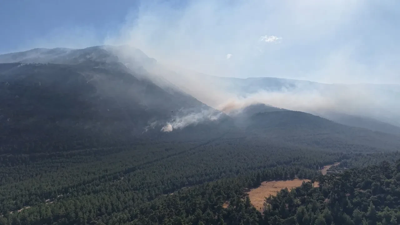 Denizli'de yanan ormandan geriye bu görüntüler kaldı!
